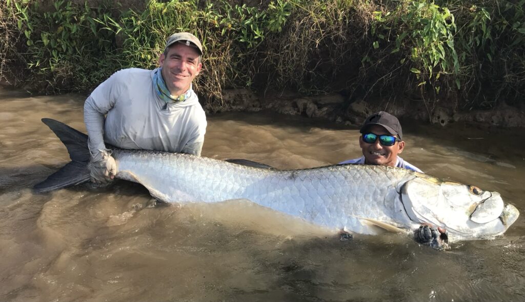 Monster trophy tarpon