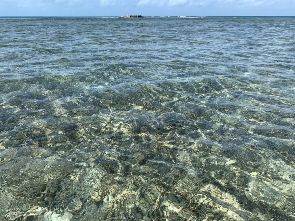 Coral reef in open sea