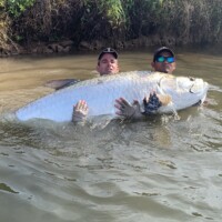 Trophy Tarpon